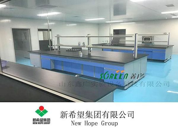 新希望六和集團-昌邑明興公司實驗室家具安裝